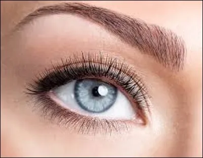 Abordons le sujet de vos sourcils...