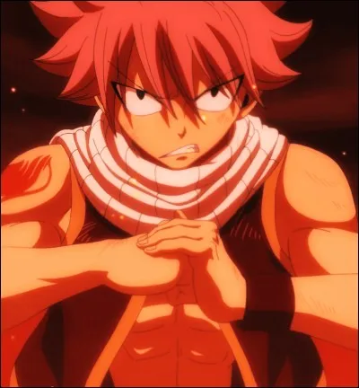 Quel est le type de magie de Natsu ?
