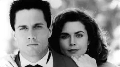 Où Rob Estes et Mitzi Kapture enquêtent-ils pour la criminelle ?