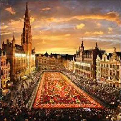 Quelle ville belge a le code postal 1000 ?