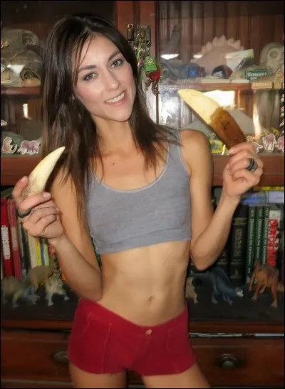 Voici les dents de deux dinosaures prédateurs plus grands que le tyrannosaure (spinosaure et giganotosaure). Où est celle du spinosaure sur la photo ?