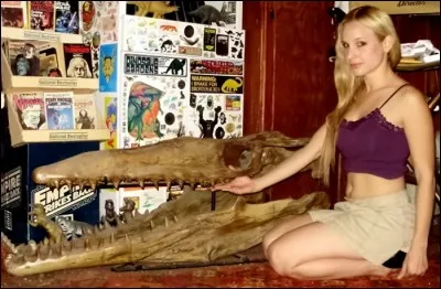 À quelle espèce appartient ce crâne fossile ?