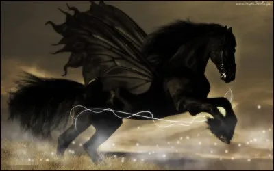 Comment s'appelle cet animal ?