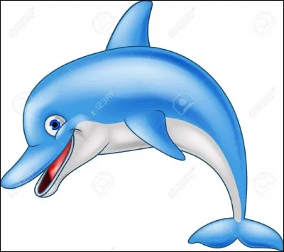 Où vivent les dauphins ?