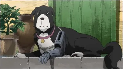 Comment s'appelle le chien de Winry et Pinako ?