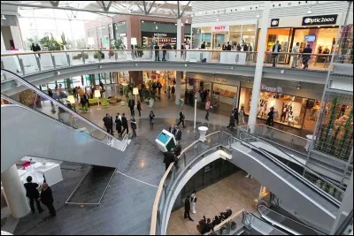 Quel est l'endroit où Luna ne peut s'empêcher d'aller ?