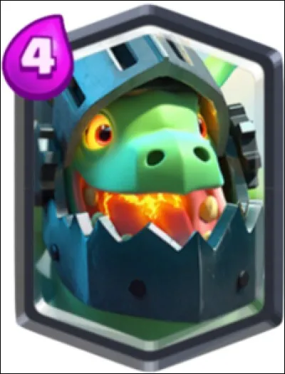 Quel est le nom de cette carte ?