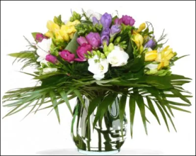 À qui offrira-t-on ce bouquet de freesias multicolore ?