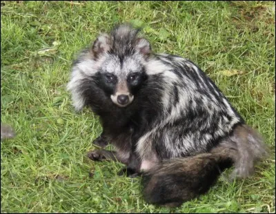 Comment je m'appelle ?