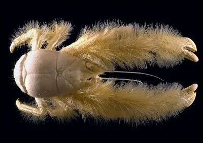 Comment je m'appelle ?