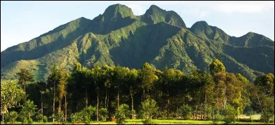 Quel petit pays africain de la région des Grands Lacs, surnommé "pays aux mille collines" abrite des forêts humides d'altitude servant d'habitat aux grands singes, tels le gorille des montagnes ?