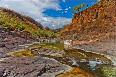 Quelle est cette île, politiquement rattachée au Yémen, située dans l'océan Indien à l'entrée du golfe d'Aden, dont la flore est considérée comme unique au monde ?