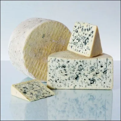 Le bleu d'Auvergne est un fromage fait à partir de lait de vache.