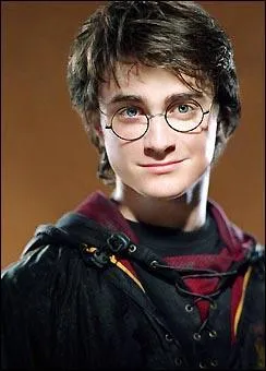 Qui incarne Harry Potter ?