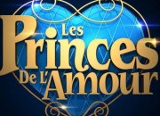 Quiz Les Princes de l'amour - Saison 4 - (2)