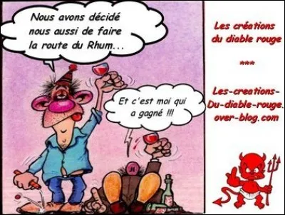 Qui chanta : Du rhum, des femmes et d'la bière nom de dieu ?