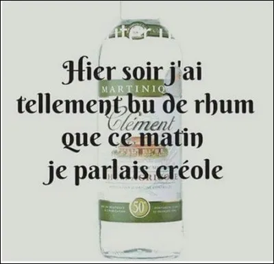 Qui a dit : Le rhum n'est pas un vice, c'est une manière de survivre ?
