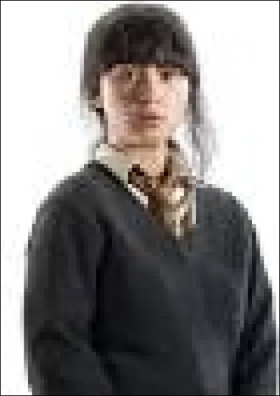 Lors d'une sortie à Pré-au-Lard, Leanne et son amie se rendent aux Trois Balais. Son amie va aux toilettes et ramène un colis soi-disant pour Albus Dumbledore.
Que lui dit Leanne ?