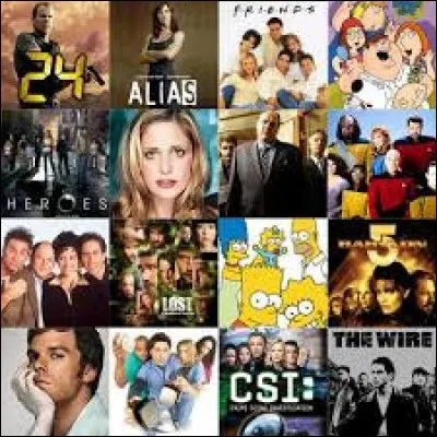 Deux épisodes de votre série préférée sont diffusées à la télévision un soir où vous ne pouvez pas regarder car vous avez un empêchement, que faites-vous ?