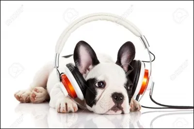 Quel est leur style de musique ?