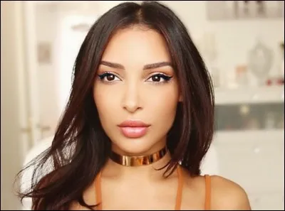 Combien a-t-elle d'abonnés (en janvier 2017) ?