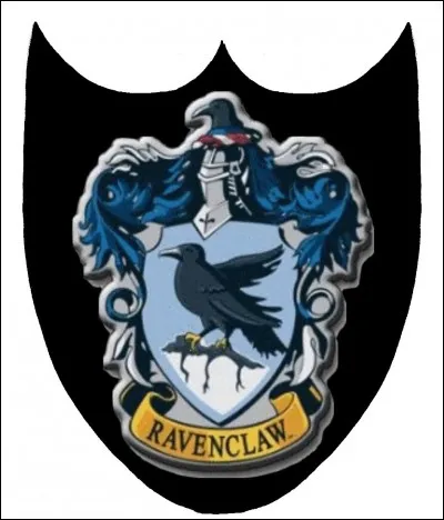 Qui est le directeur ou la directrice de Serdaigle ?