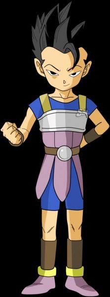 Quiz Dragon ball