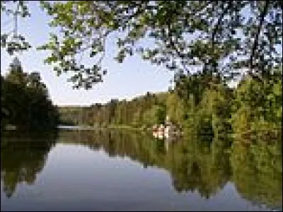 Bitche est une ville française.