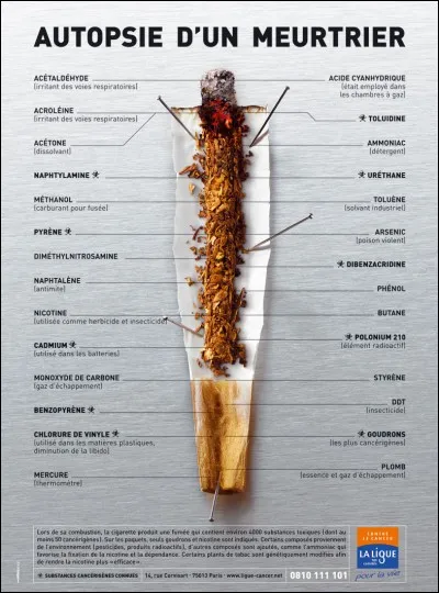La consommation de tabac est responsable selon l'Organisation mondiale de la santé de 6 millions de morts par an dans le monde.