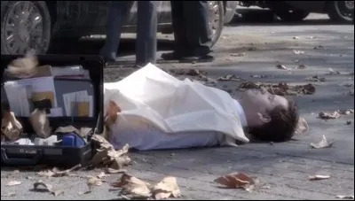 Saison 4 - Qui a tué Wilden ?