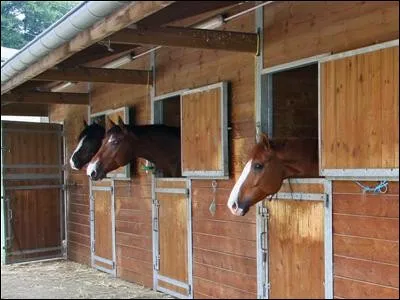 Quels sont les hébergements couverts pour les chevaux ?