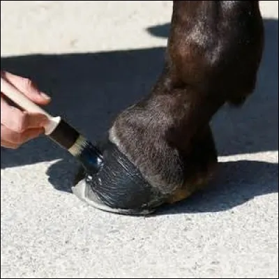 Quelles sont les parties d'un sabot ?