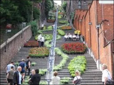 Dans quel pays trouve-t-on ce long escalier appelé la "montagne de Bueren" ?