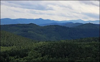 Dans quel département se situe Neufchâteau ?