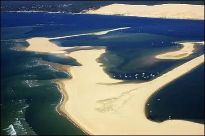 Quelle est l'origine du mot "arguin" ?