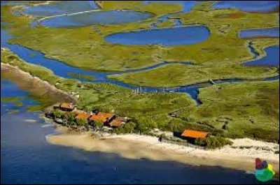 Combien y a-t-il de cabanes sur l'île aux Oiseaux ?