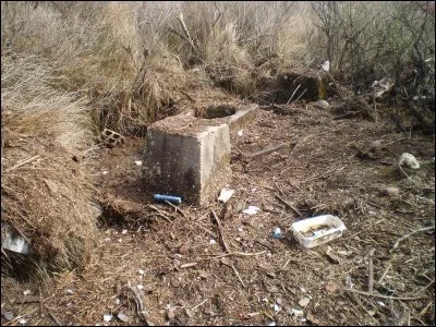 En quelle année a été creusé le puits artésien de l'île ?