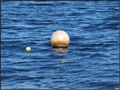 Combien de zones de corps-morts (zones de mouillage) compte le port d'Arcachon ?