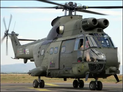 Si je vous dis : « Et c'est eyra, enfin presque », vous répondez :