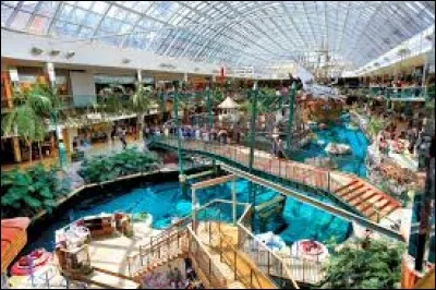 Le West Edmonton Mall, le plus grand centre commercial d'Amérique du Nord, est situé à New York.