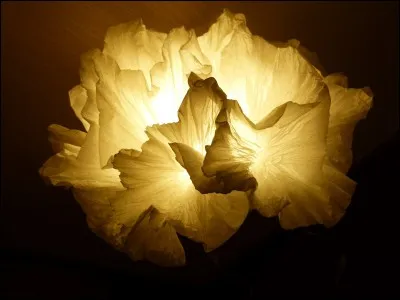 Cabine avec du papier.