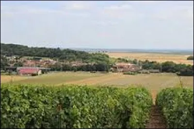 Vous avez derrière les vignes, le village Marnais de Bassuet. Il se situe dans la nouvelle région ...
