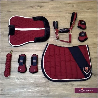 Quel objet est indispensable à la pratique de l'équitation ?