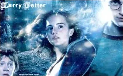 Compl&eacute;tez : "Ils &eacute;clat&egrave;rent de rire tandis qu'Hermione remplissaiet leurs assiettes de (...)."