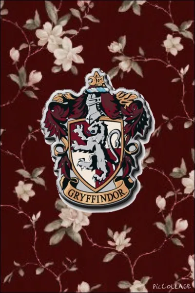 Pour leur deuxi&egrave;me cours de la journ&eacute;e, quelles cr&eacute;atures les Gryffondor ont-ils &eacute;tudi&eacute; ?