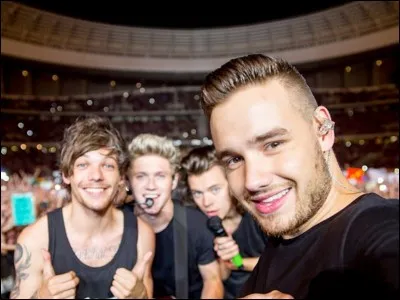 Combien de temps la pause des "One Direction" va-t-elle durer ?