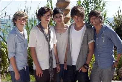 Qui a proposé le titre "One Direction" ?