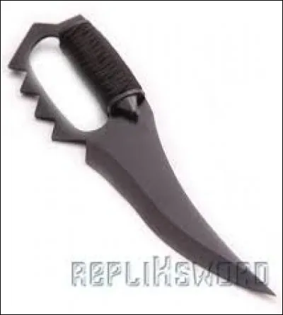 Est-ce que la dague fait partie des armes disponibles en ligne ?