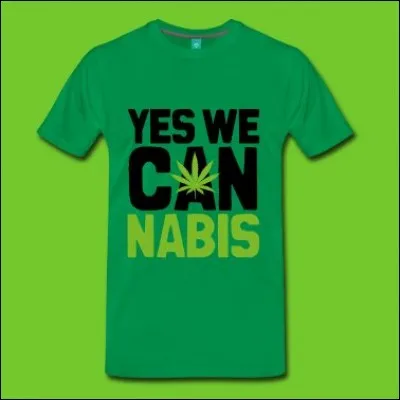 On vous demande, à vous et à votre famille, si vous pouvez parler anglais ou mieux encore, américain. Vous répondez "Yes, we can !" : vous laissera-t-on passer ?