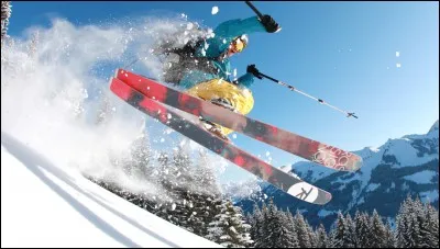 Comment appelle-t-on la poudreuse ?